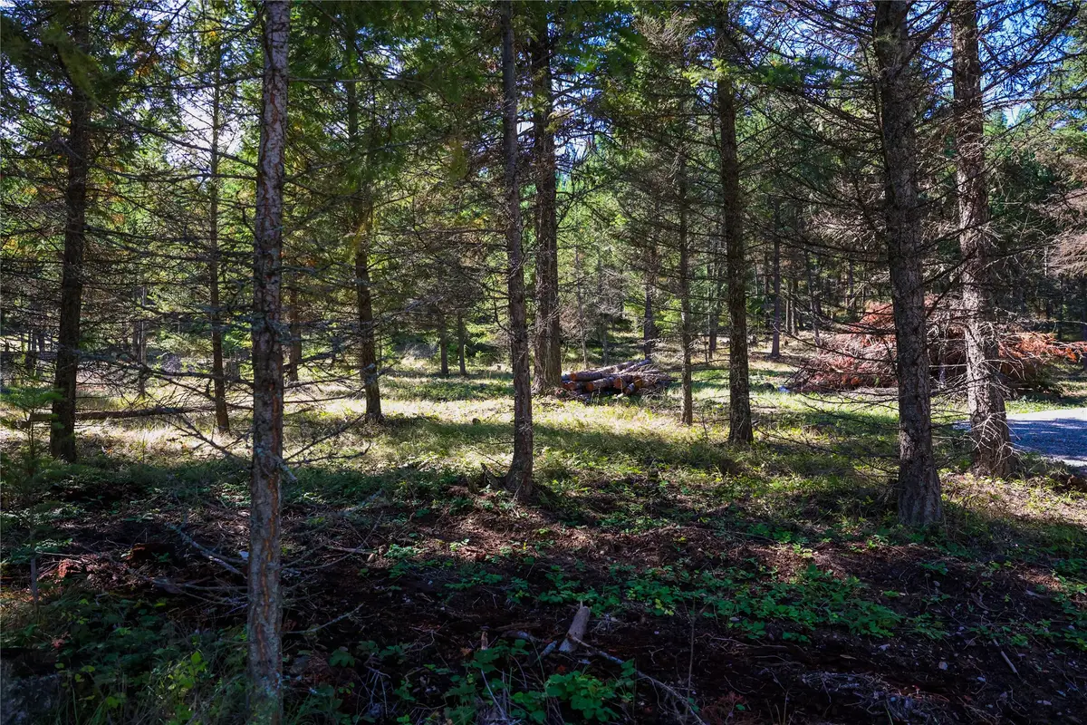 Lot 1 Tobacco Road, Eureka, MT 59917 - #1