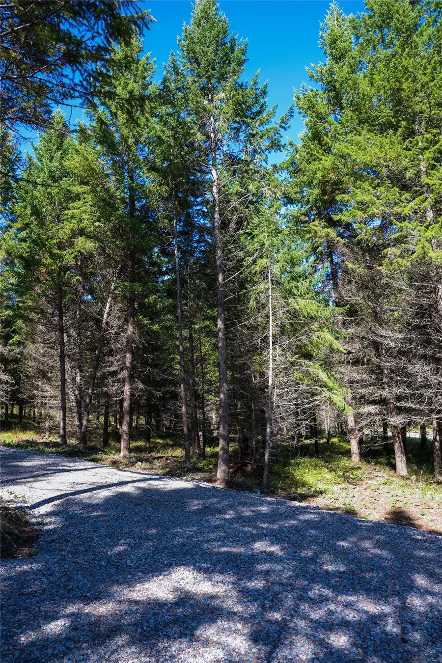 Lot 1 Tobacco Road, Eureka, MT 59917 - #2