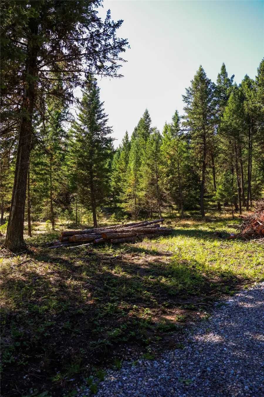 Lot 1 Tobacco Road, Eureka, MT 59917 - #3