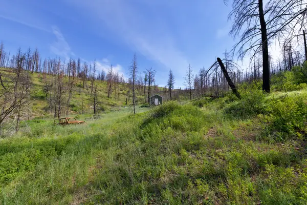 185 Lower Lamaraux Creek Road, Paradise, MT 59856