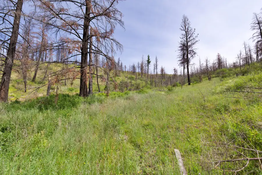 185 Lower Lamaraux Creek Road, Paradise, MT 59856 - #3