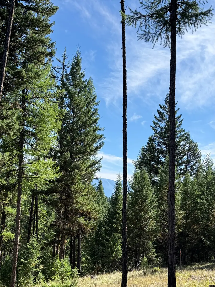 LOT 4 Tobacco Road, Eureka, MT 59917 - #2