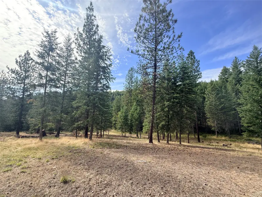 173 Cedar Creek Road, Plains, MT 59859 - #3
