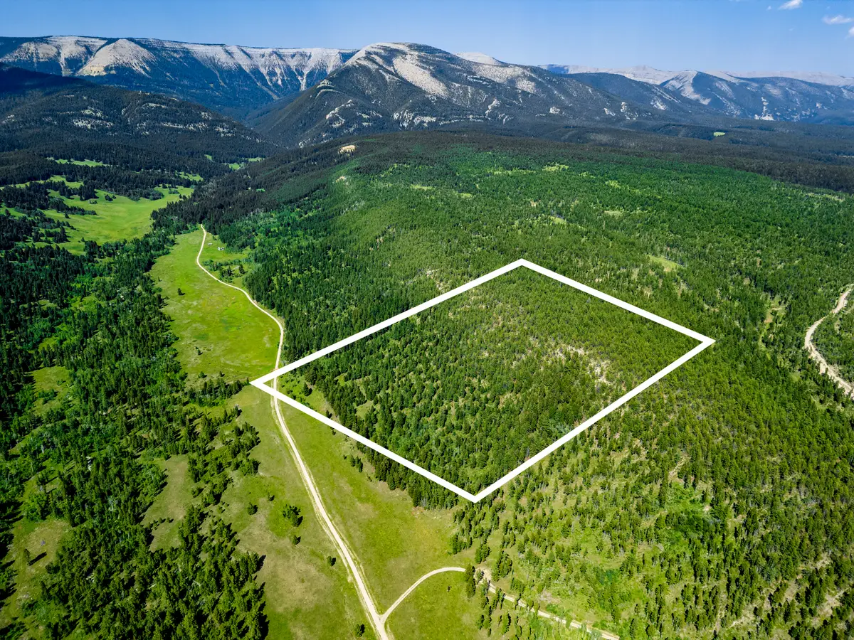 NHN Timber Creek Road, Judith Gap, MT 59453 - #1