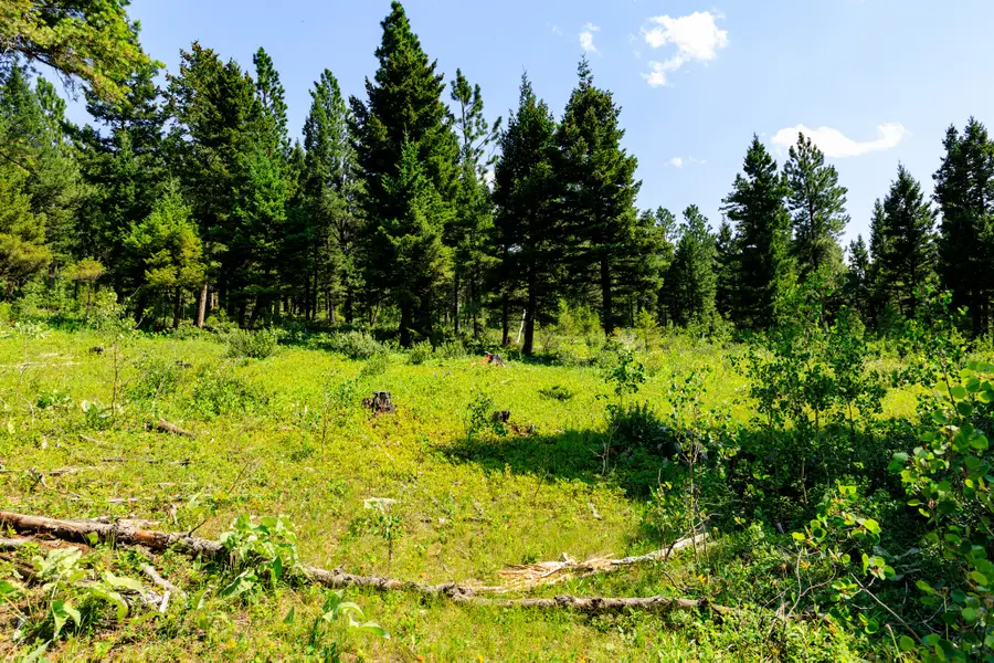 NHN Timber Creek Road, Judith Gap, MT 59453 - #3