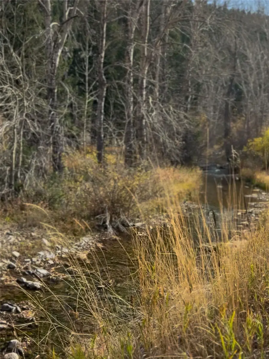 TBD Hwy 200, Wolf Creek, MT 59648 - #3
