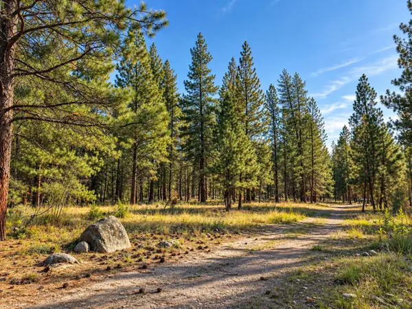 NHN Holloway Lane, Florence, MT 59833