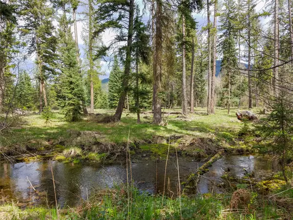 137 Fallen Bear Lane, Libby, MT 59923