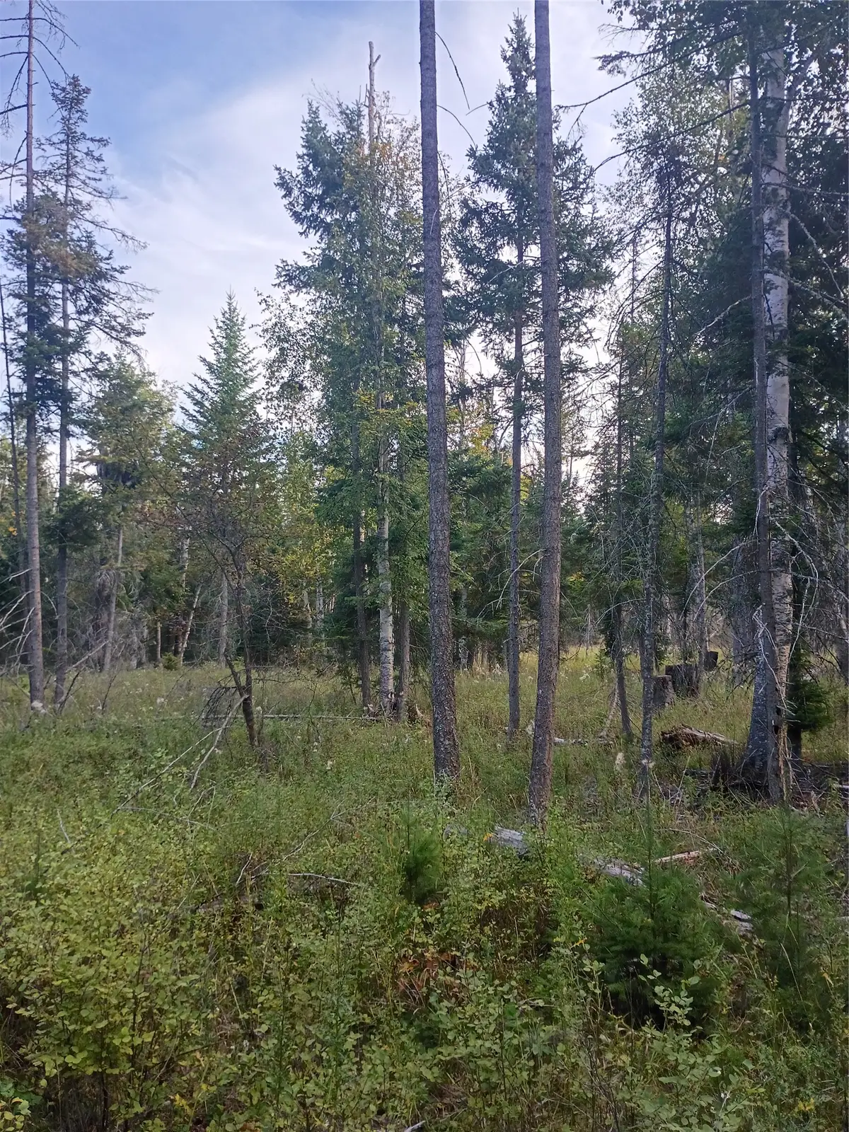 NHN Lake Blaine, Kalispell, MT 59901 - #1