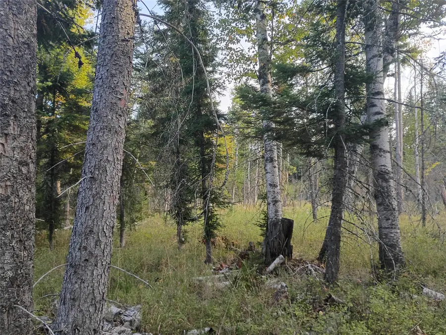 NHN Lake Blaine, Kalispell, MT 59901 - #2