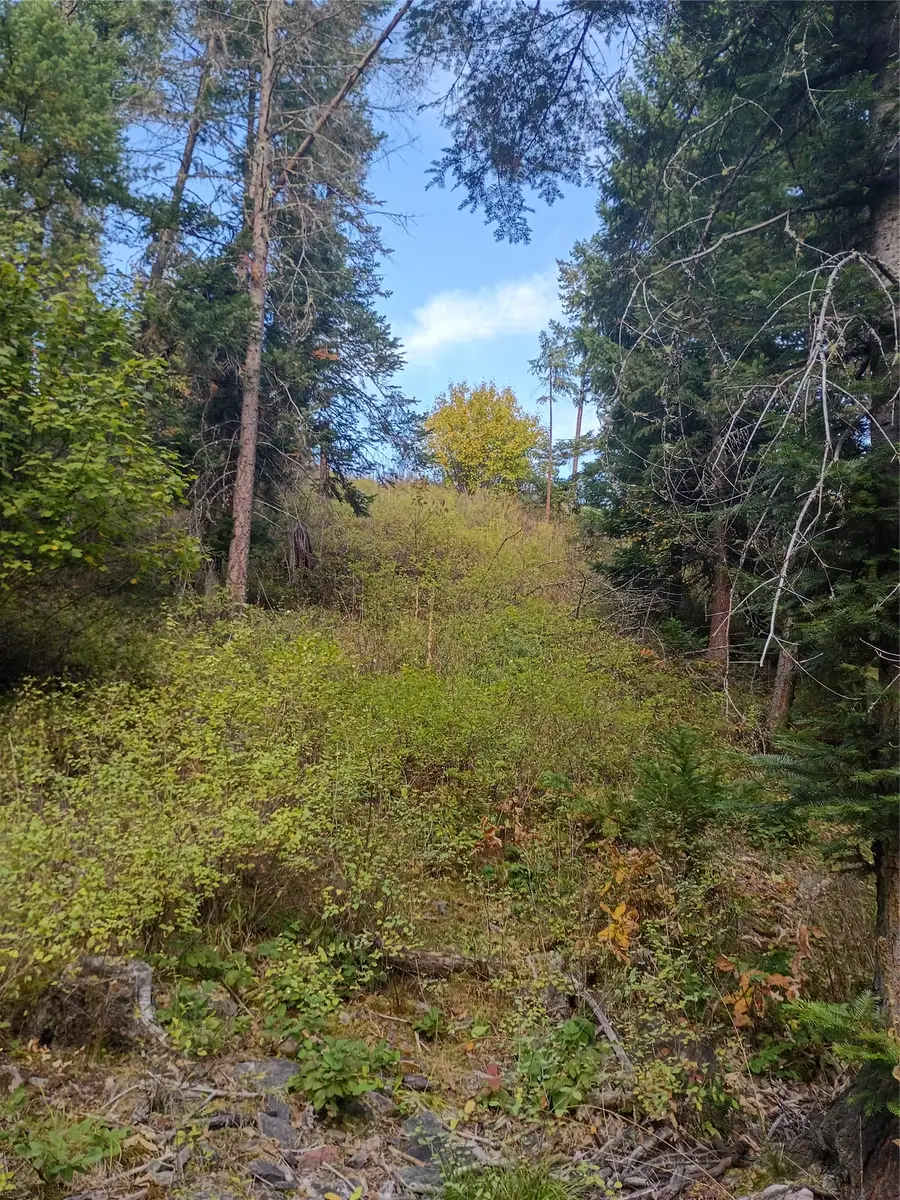 NHN Lake Blaine, Kalispell, MT 59901 - #3