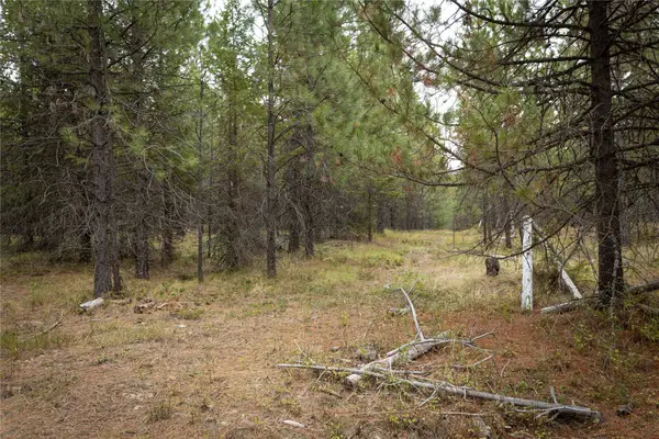 30 Big Loaf Lane, Libby, MT 59923