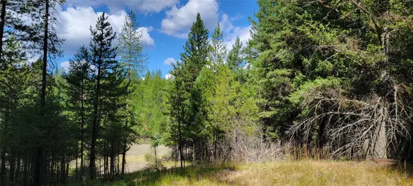 1280 Rogers Lake Road, Kila, MT 59920