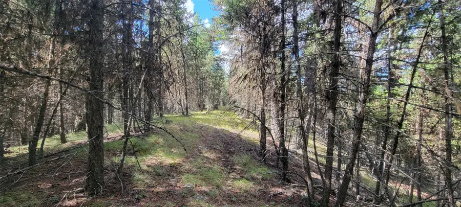 1280 Rogers Lake Road, Kila, MT 59920 - #3