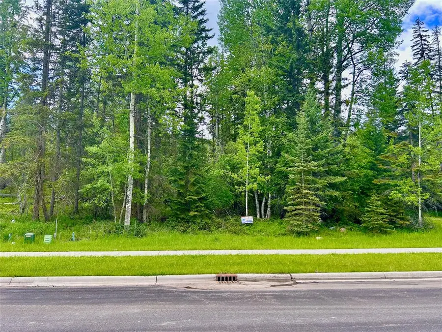 754 Ice House Road, Whitefish, MT 59937 - #2
