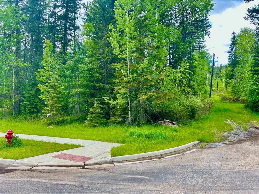 754 Ice House Road, Whitefish, MT 59937 - #3