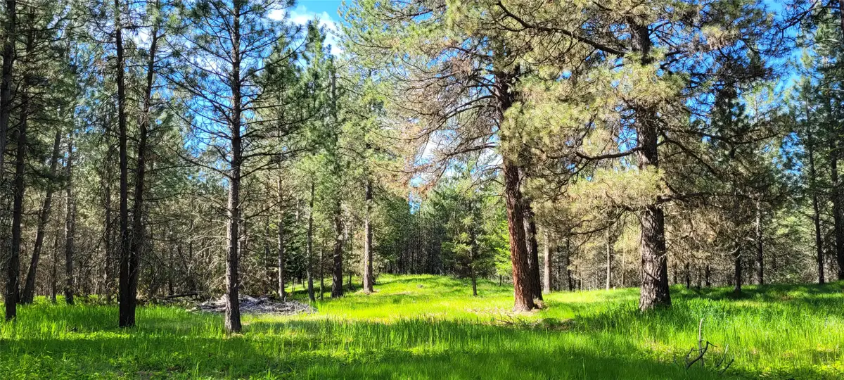 131 Break Road, Libby, MT 59923 - #1
