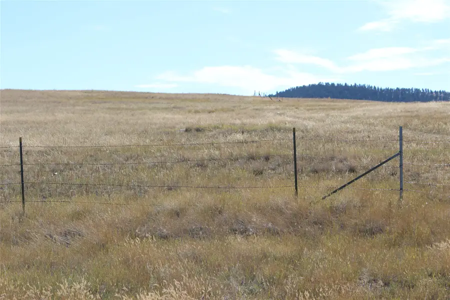 3265 Alice Street, Helena, MT 59601 - #2