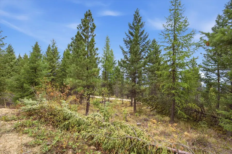 Lot 10 Panoramic View Drive, Libby, MT 59923 - #2