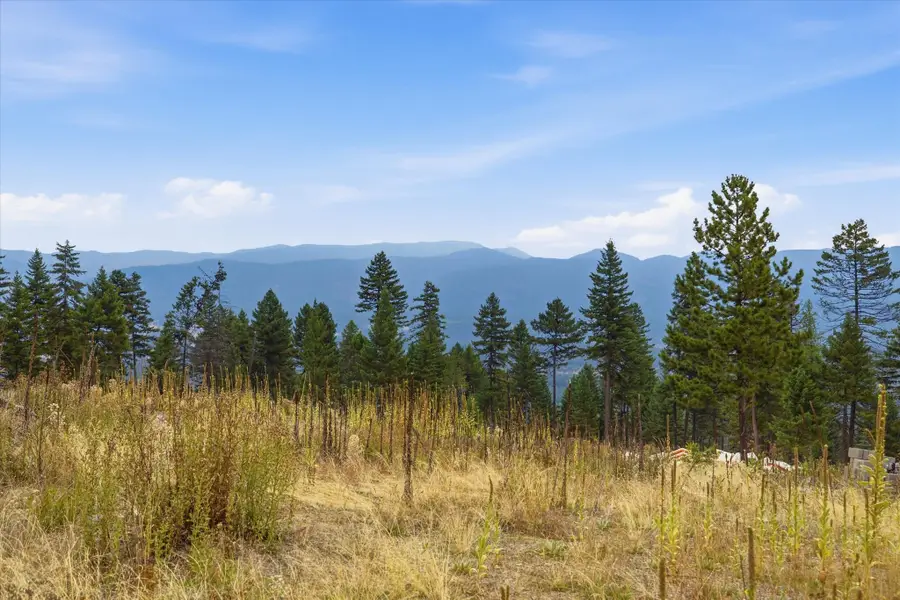 1401 (Lot 9) Panoramic View Drive, Libby, MT 59923 - #3
