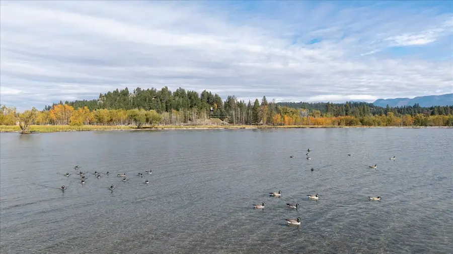 386,414,440 Holt Drive, Bigfork, MT 59911 - #3