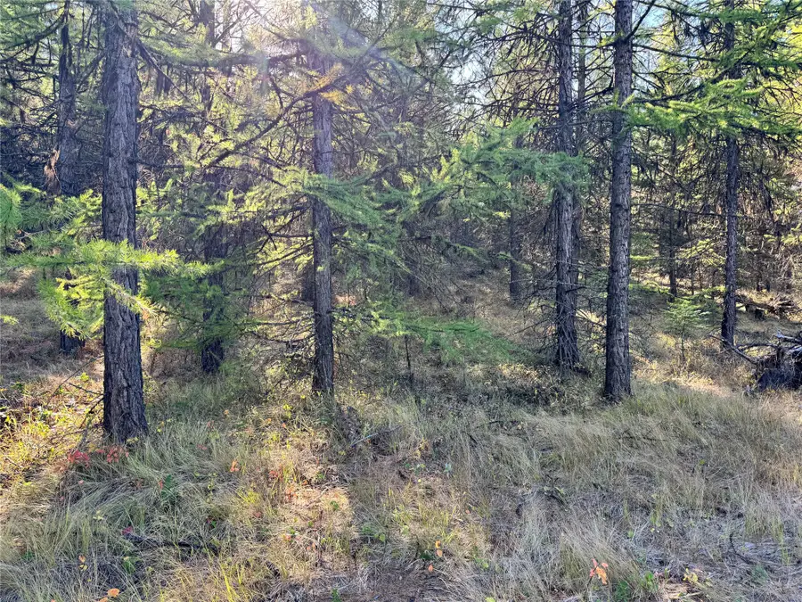 Lot 6 Panoramic View, Libby, MT 59923 - #2