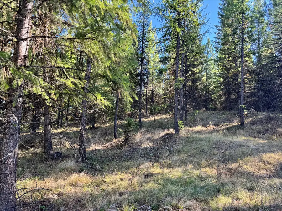 Lot 6 Panoramic View, Libby, MT 59923 - #3