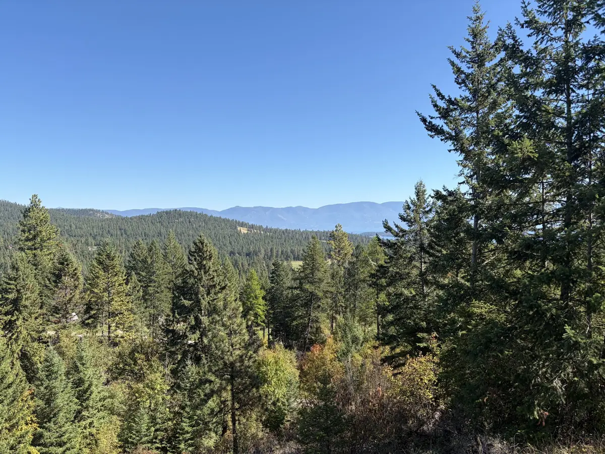 41325 Big Lodge Lane, Rollins, MT 59931 - #1
