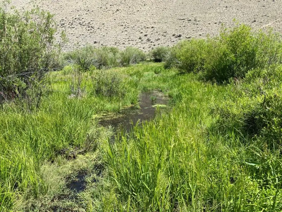 NHN North Camp Creek Road, Butte, MT 59701 - #2