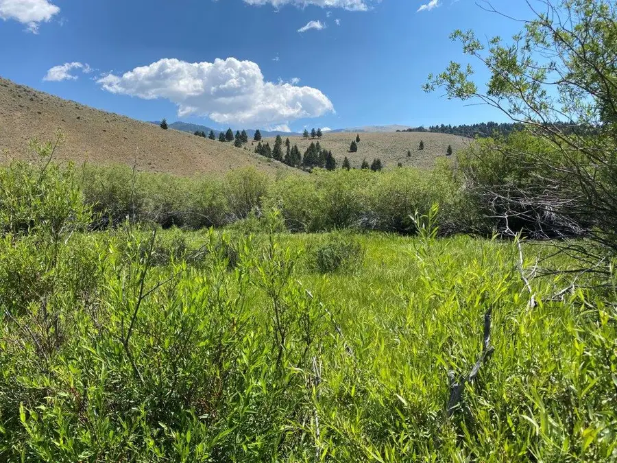 NHN North Camp Creek Road, Butte, MT 59701 - #3