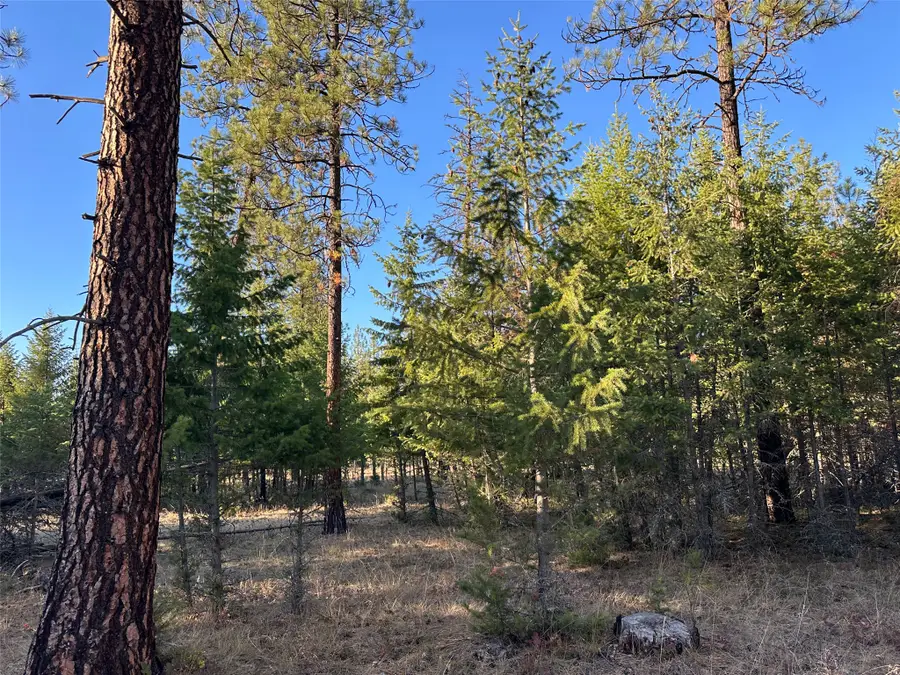 NHN Cherry Creek Road, Thompson Falls, MT 59873 - #3