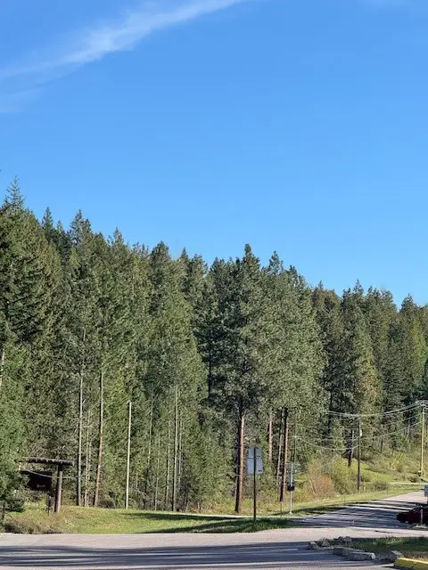 8575 Mt Hwy 35 #7, Bigfork, MT 59911 - #3
