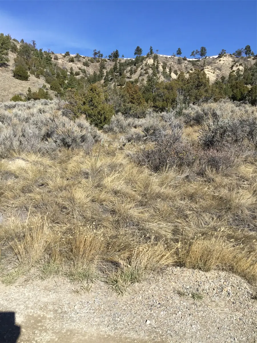 Unknown Hwy 12 E, Townsend, MT 59644 - #3