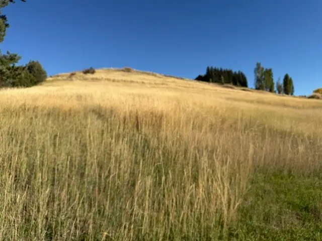 NHN Buena Vista Lane, Polson, MT 59860 - #3