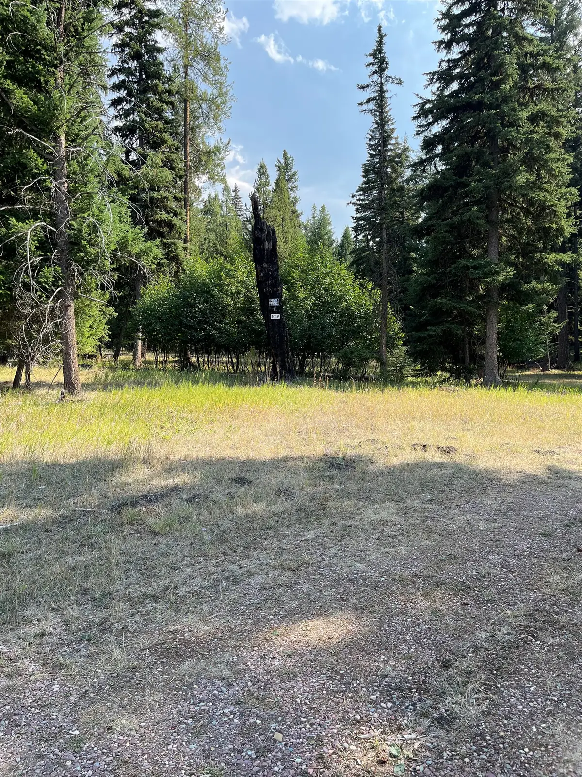 1019 Double Arrow Road, Seeley Lake, MT 59868 - #1