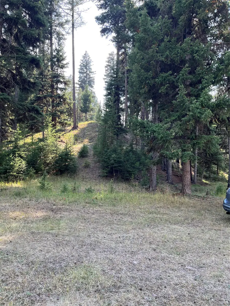 1019 Double Arrow Road, Seeley Lake, MT 59868 - #3