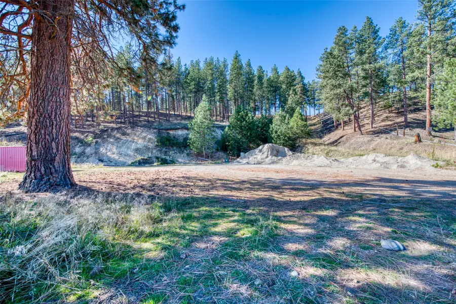 Lot 40 Darby Estates, Darby, MT 59829 - #3