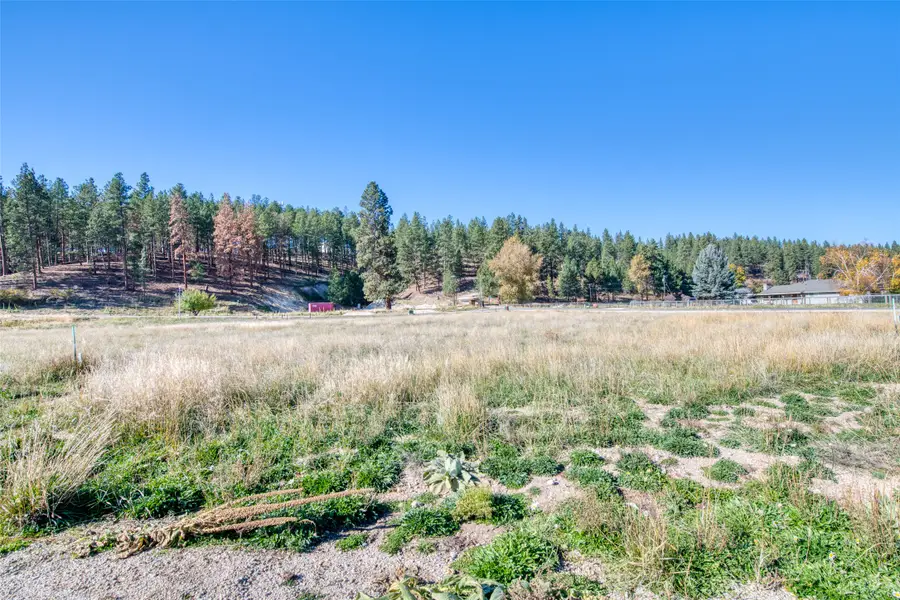 Lot 22 Darby Estates, Darby, MT 59829 - #2
