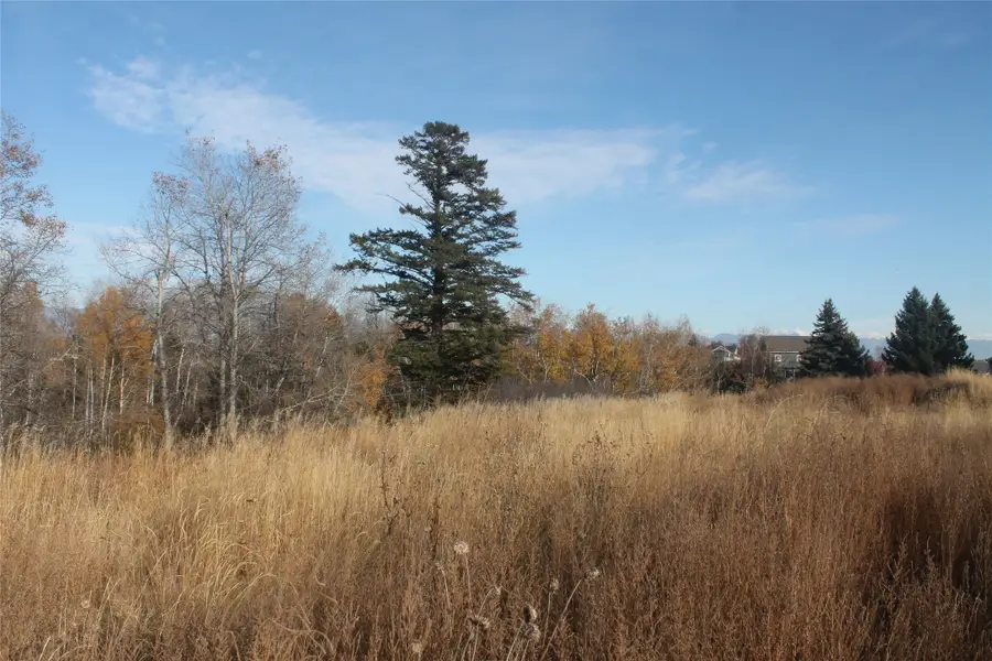 175 Westland Drive, Kalispell, MT 59901 - #3