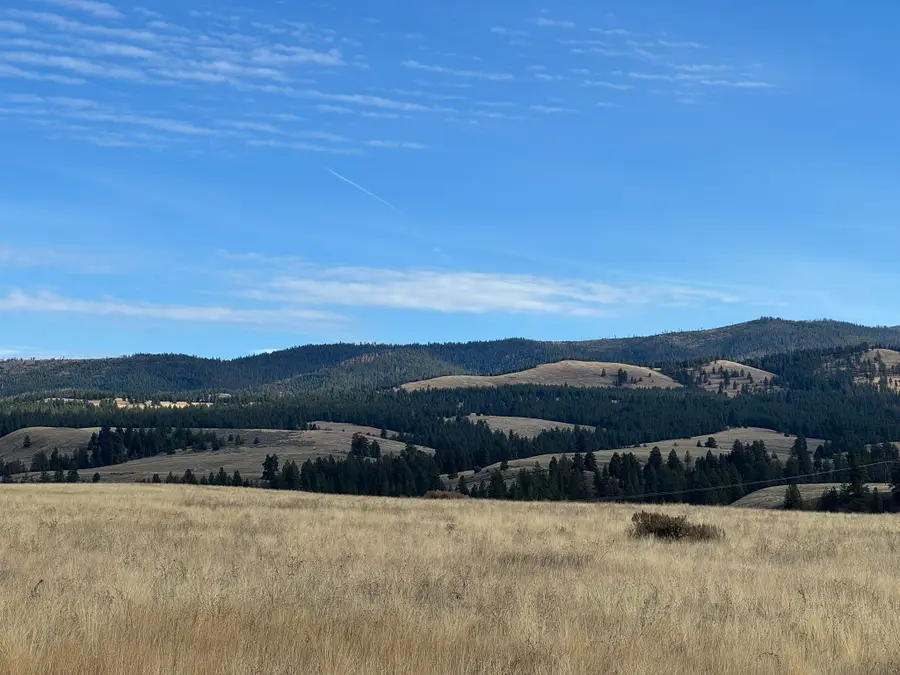 Lot 12 and 13 Willy Way, Stevensville, MT 59870 - #3