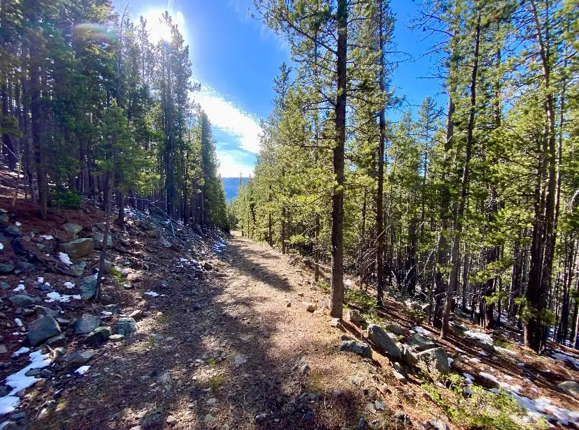 NNN Section 28, Neihart, MT 59465 - #1