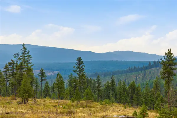1401 Panoramic View Drive, Libby, MT 59923