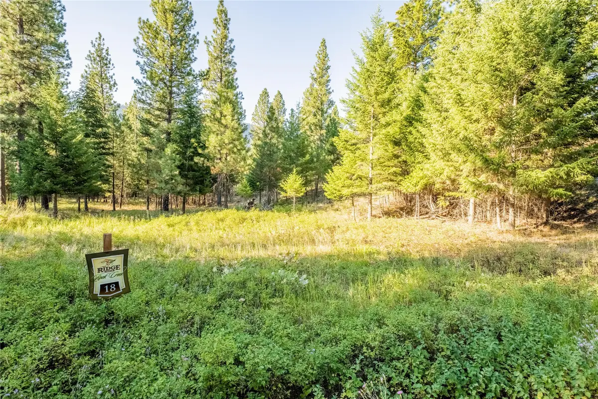 24825 Stonefly Road, Clinton, MT 59825 - #1