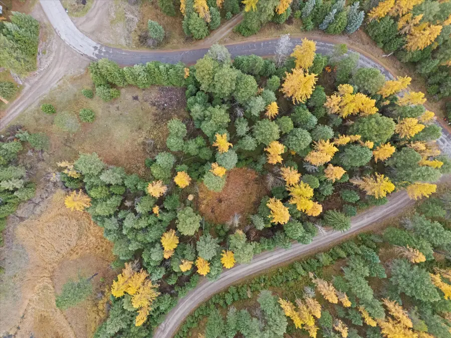 135 Tamarack Drive, Kalispell, MT 59901 - #2