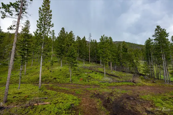 4377 Rimini Road, Helena, MT 59601