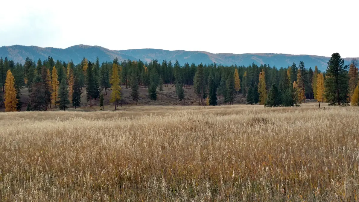 150 Log Barn Road, Superior, MT 59872 - #1