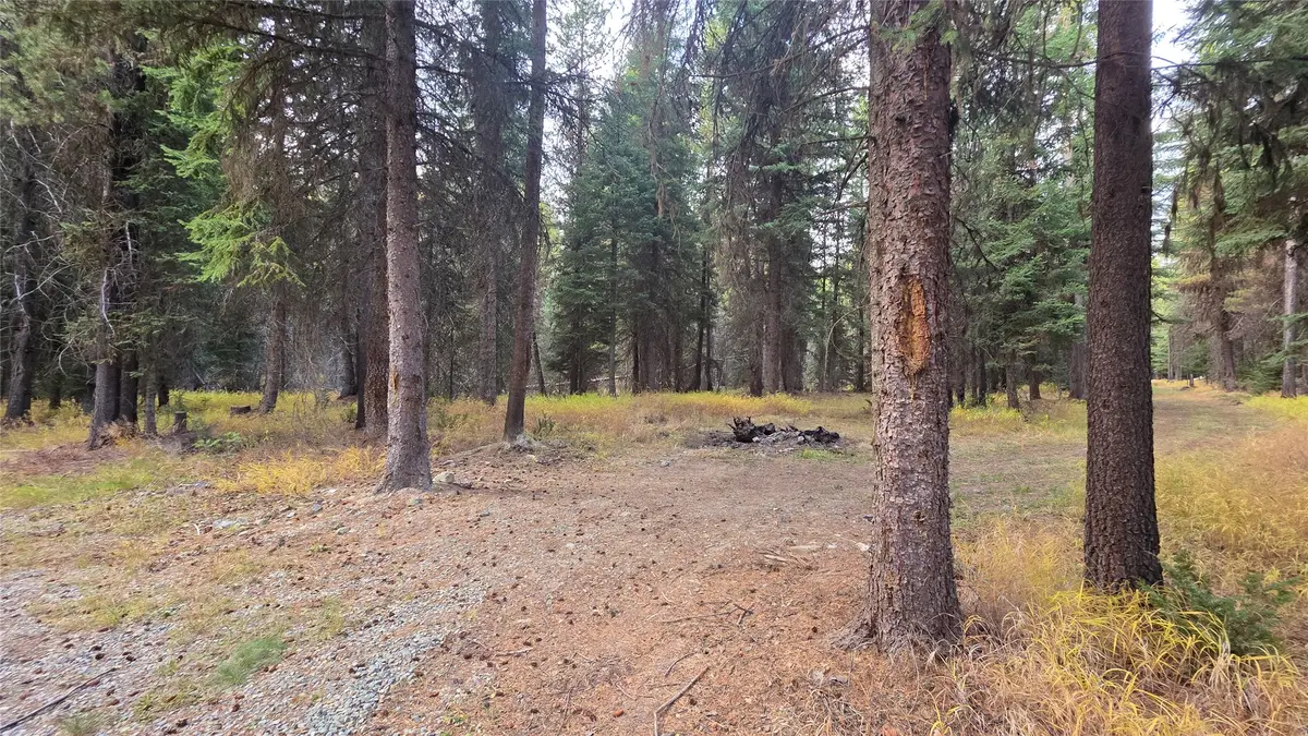 140 Griffin Creek Road, Marion, MT 59925 - #1