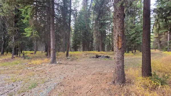 140 Griffin Creek Road, Marion, MT 59925