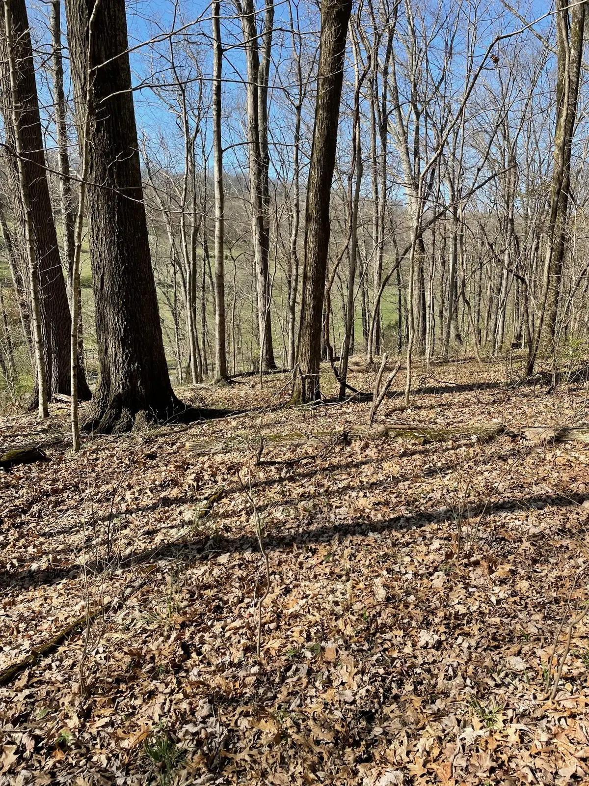 2057 Hillsboro, Franklin, TN 37069 - Image #1