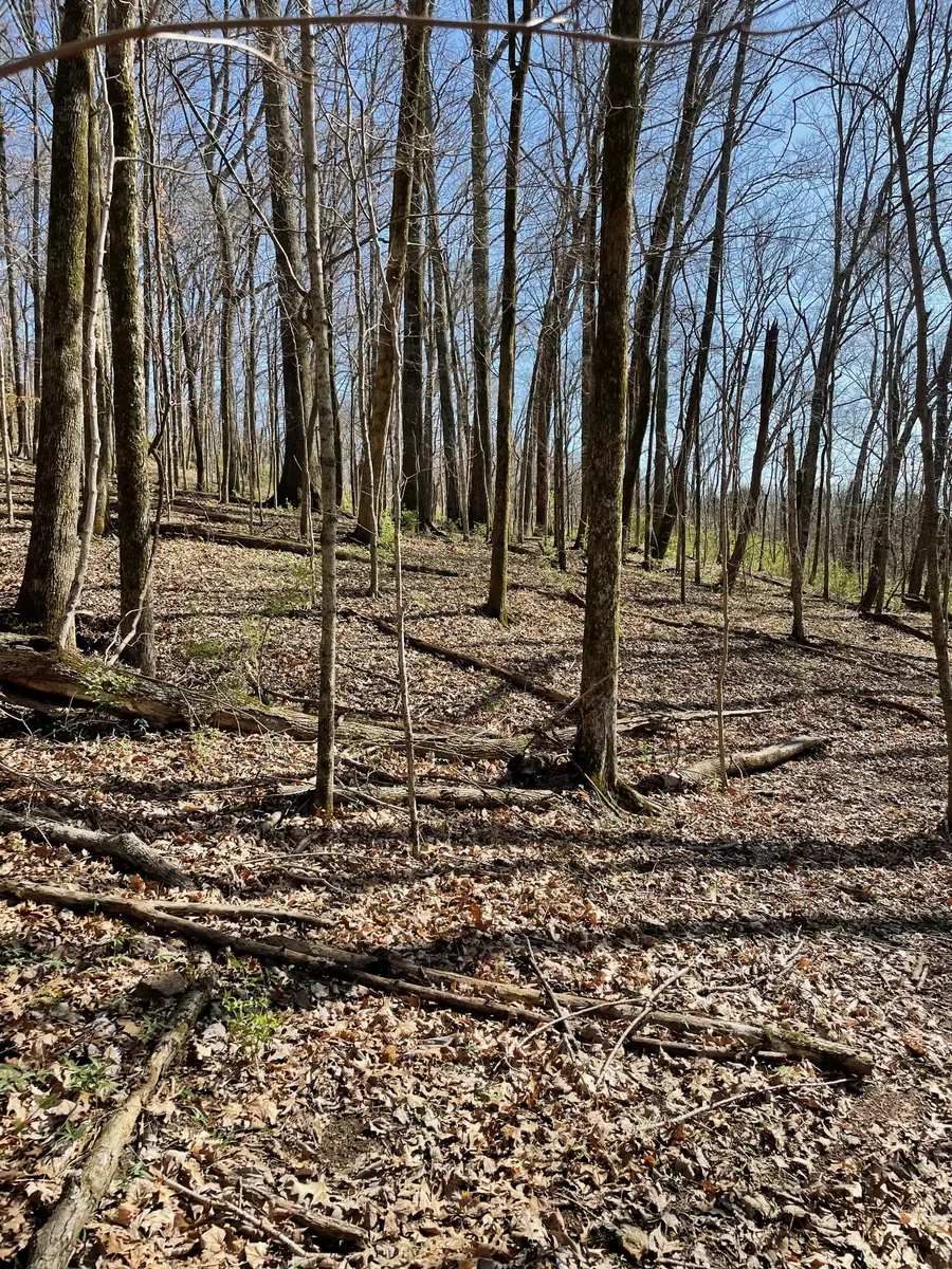 2057 Hillsboro, Franklin, TN 37069 - Image #3